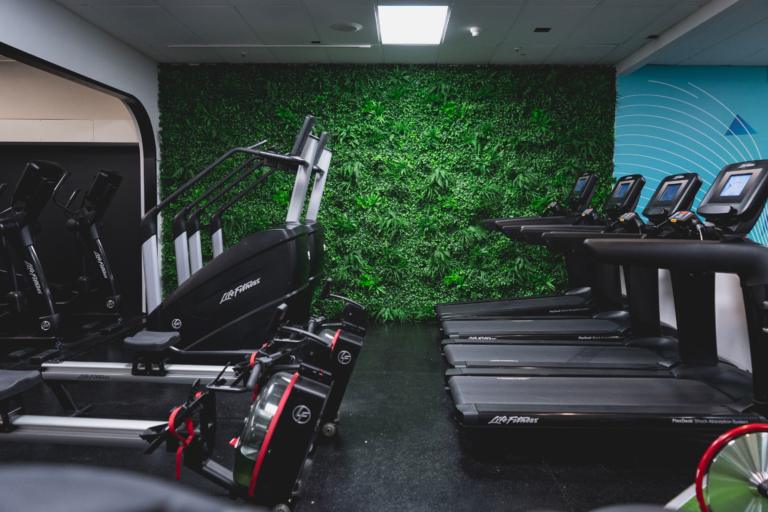 Commercial Fitness Life Fitness NZ