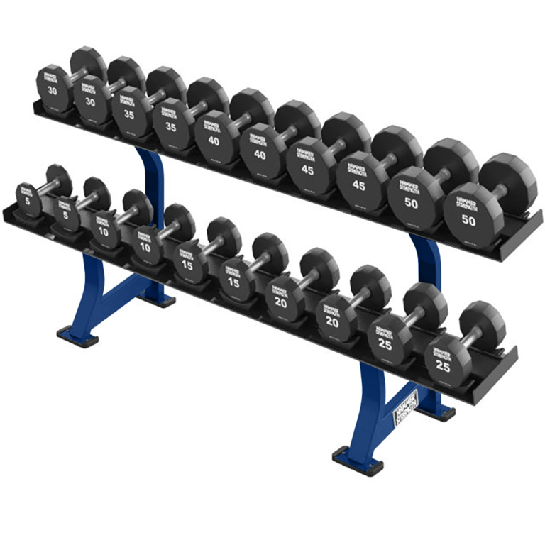 Two Tier Dumbbell Rack Life Fitness NZ