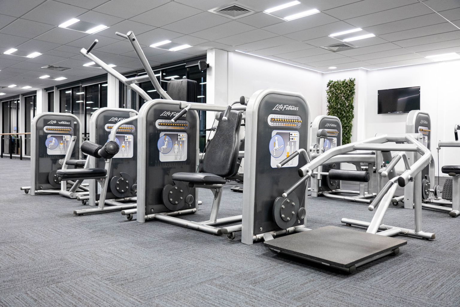 Strength Life Fitness NZ