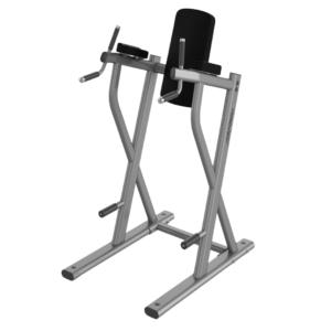 Axiom Series Dip / Leg Raise
