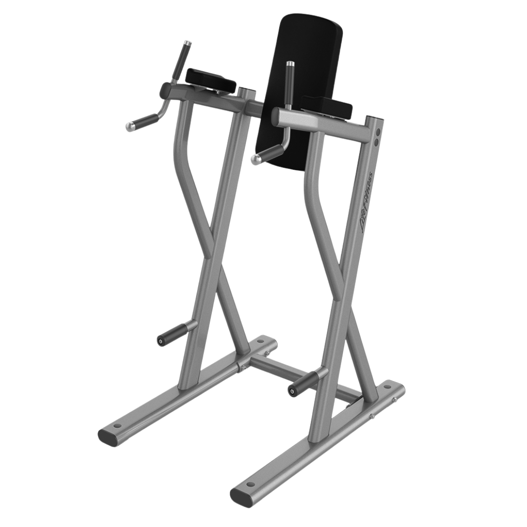 Axiom Series Dip / Leg Raise