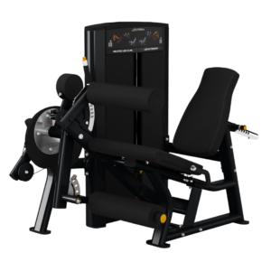 Axiom Series Seated Leg Curl / Extension
