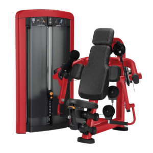 Insignia Series Biceps Curl