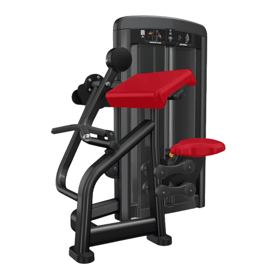 Insignia Series Biceps Curl - Dependent