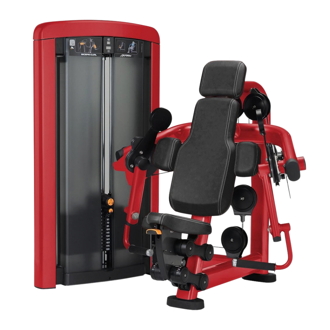 Insignia Series Biceps Curl