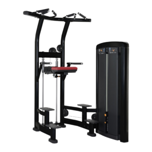 Insignia Series Assist Dip Chin