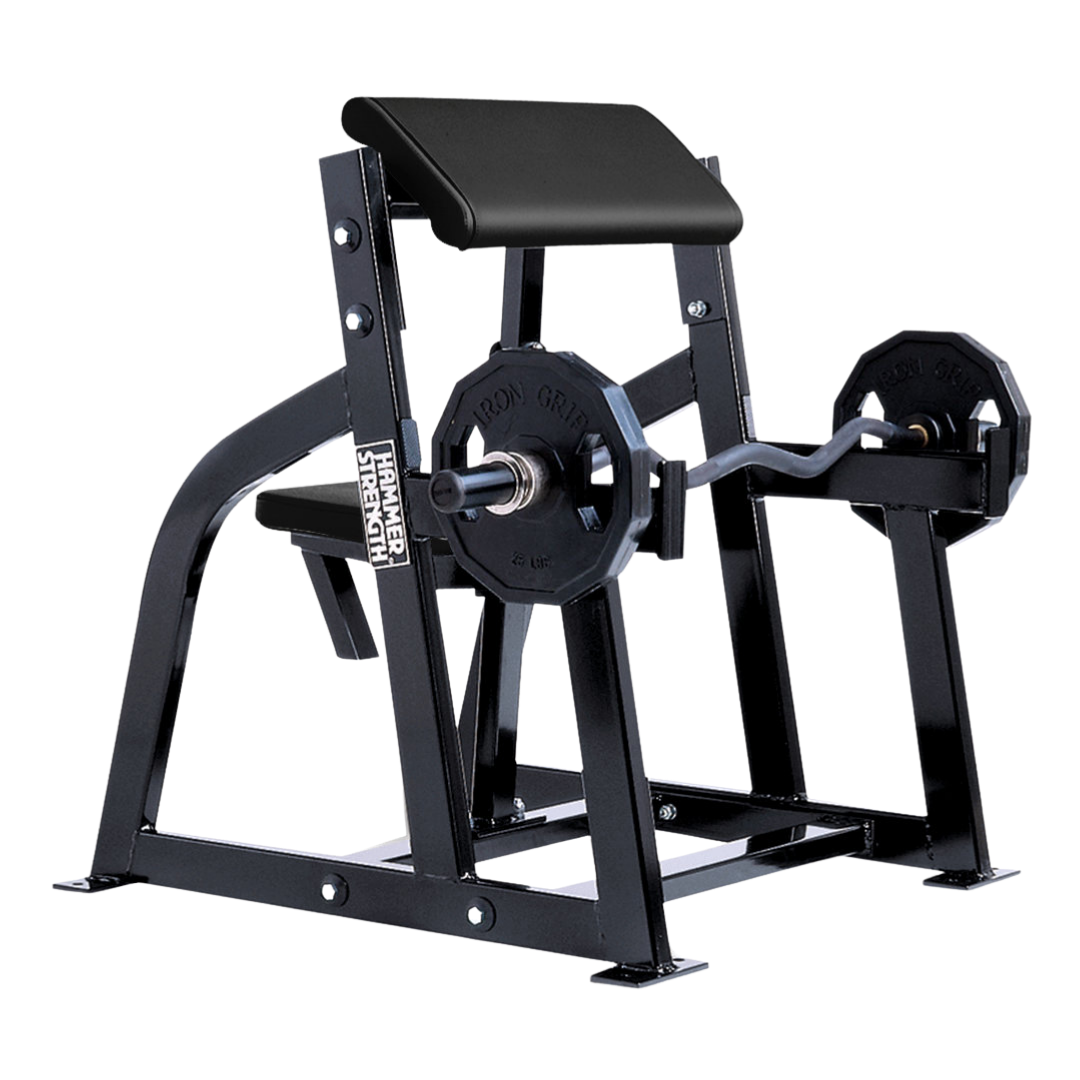 Hammer Strength Seated Arm Curl