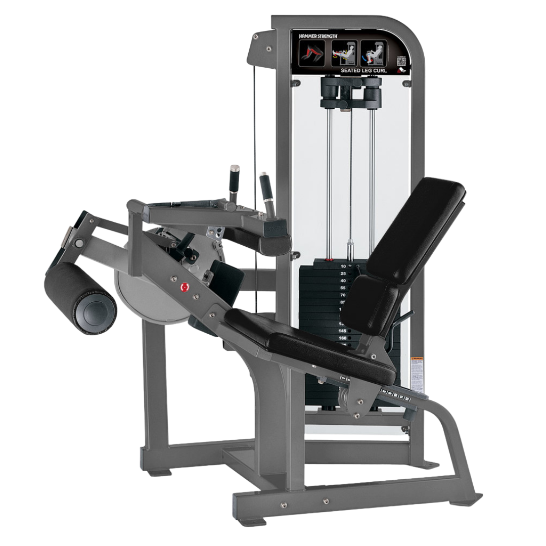 Hammer Strength Select Seated Leg Curl