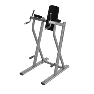 Life Fitness Dip / Leg Raise
