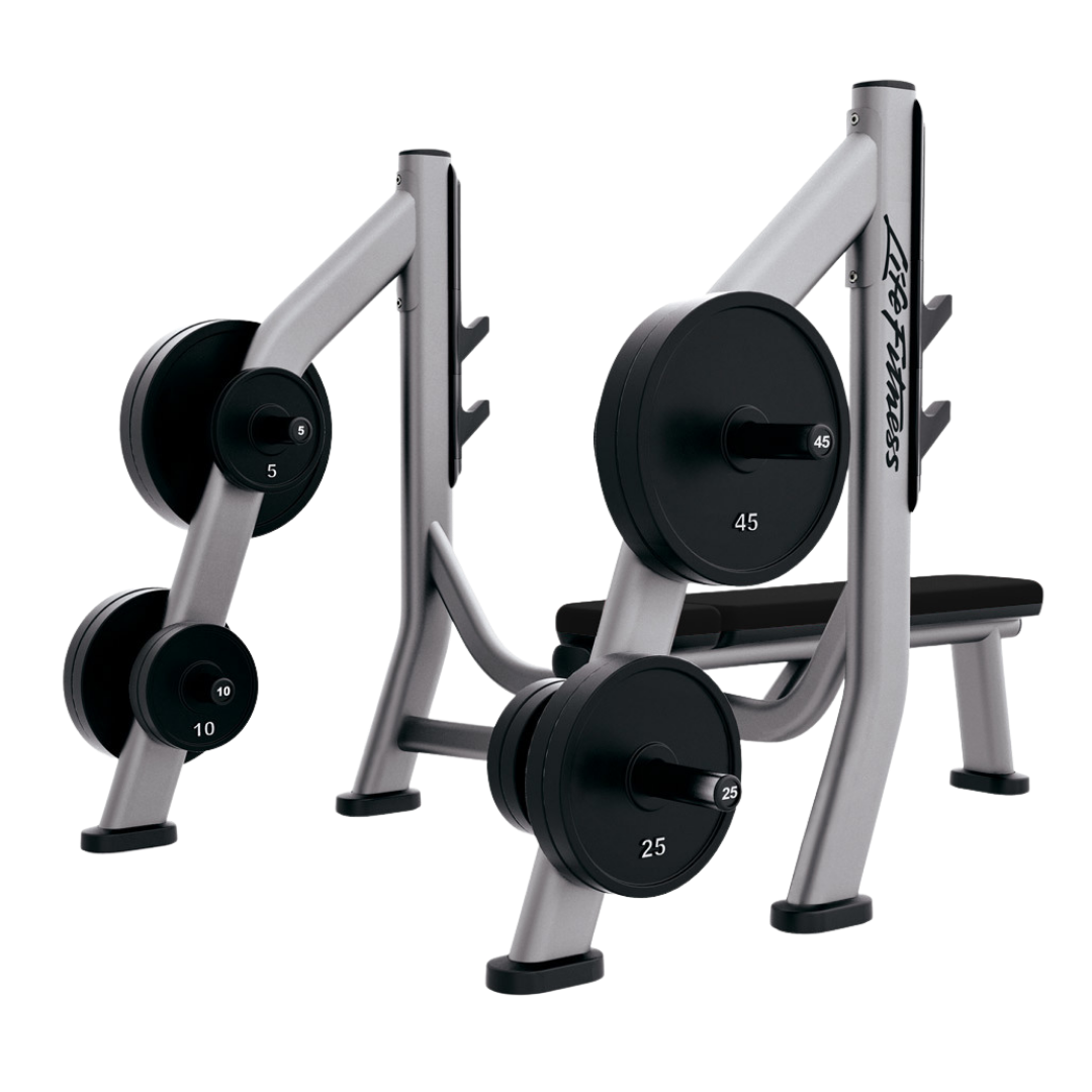 Life Fitness Olympic Bench Weight Storage