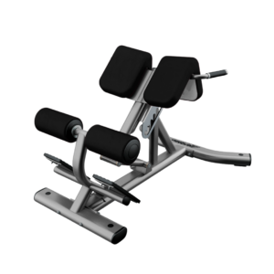 Back Extension